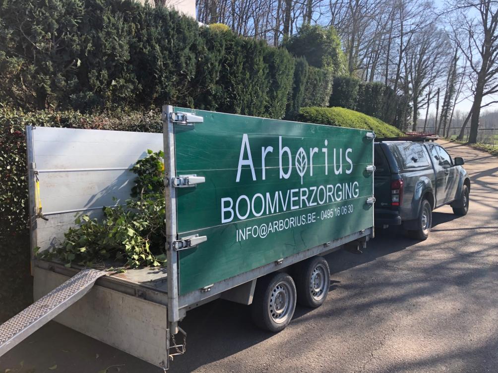 Arborius truck and trailer loaded after a day's tree work near Diest